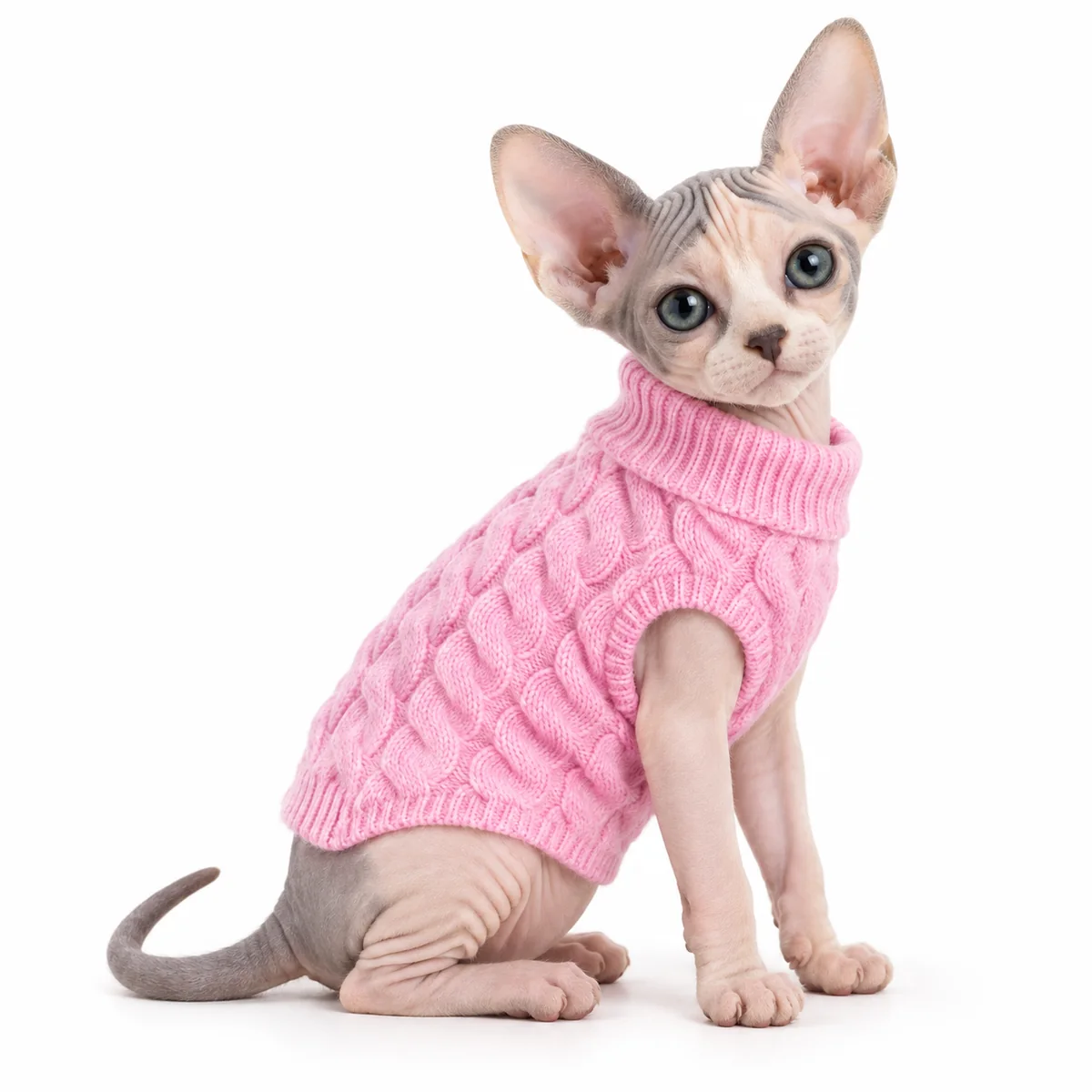 Hairless cat wearing the Blush Pink Everyday Classic Cable-Knit Cat Sweater on a white background