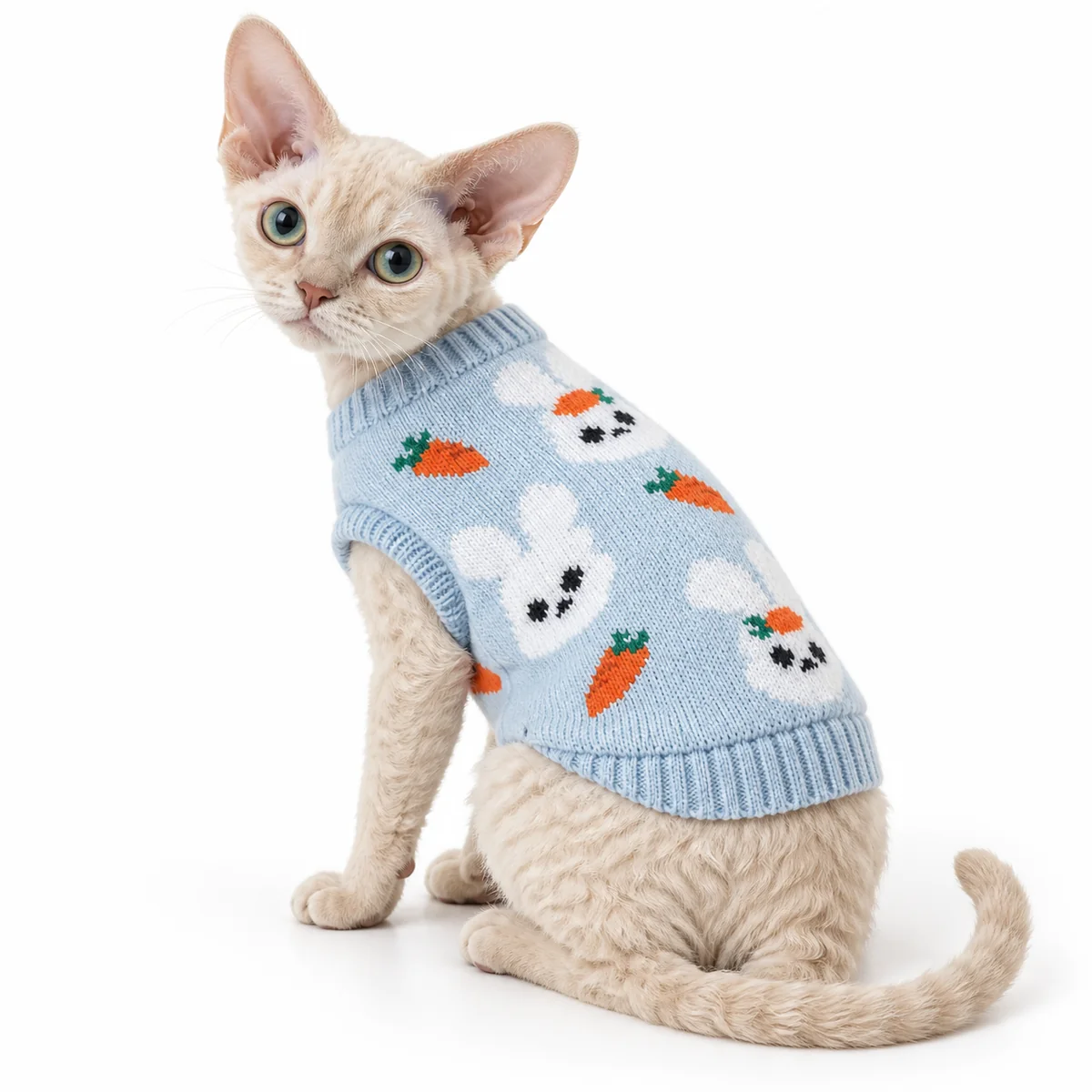 Blue bunny knit cat sweater with carrot pattern