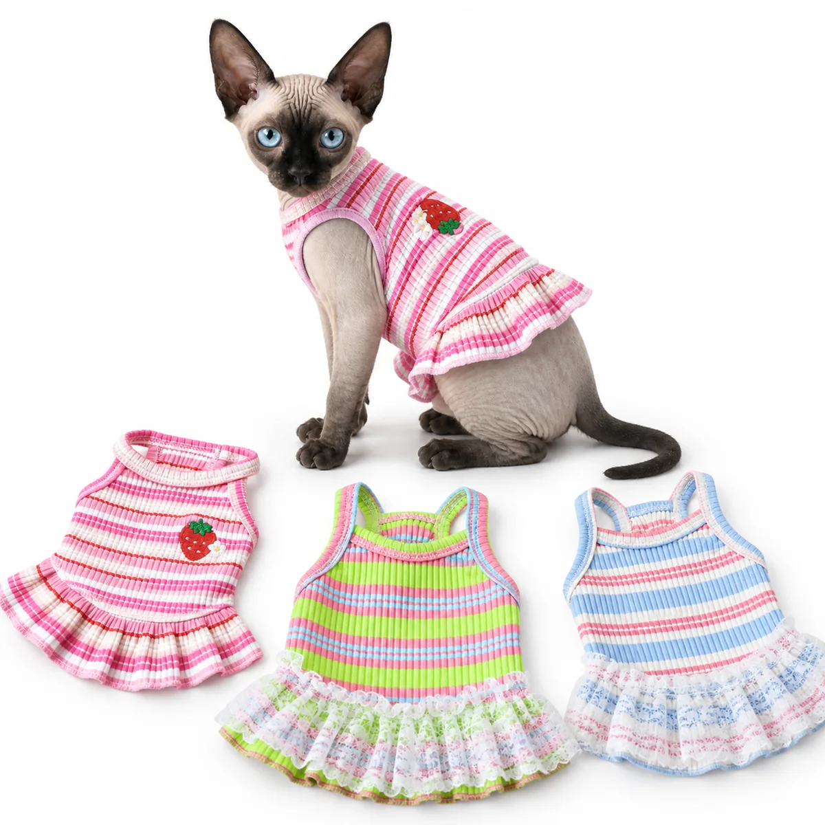 Sphynx cat wearing the Summer Picnic Lace Dress beside the Strawberry Picnic, Kiwi Sorbet and Bluebell Picnic colourways on a white background