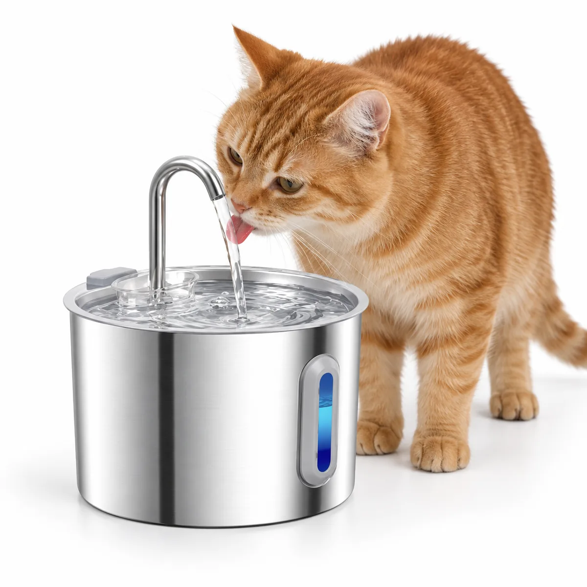 Ginger cat drinking from a stainless-steel cat water fountain