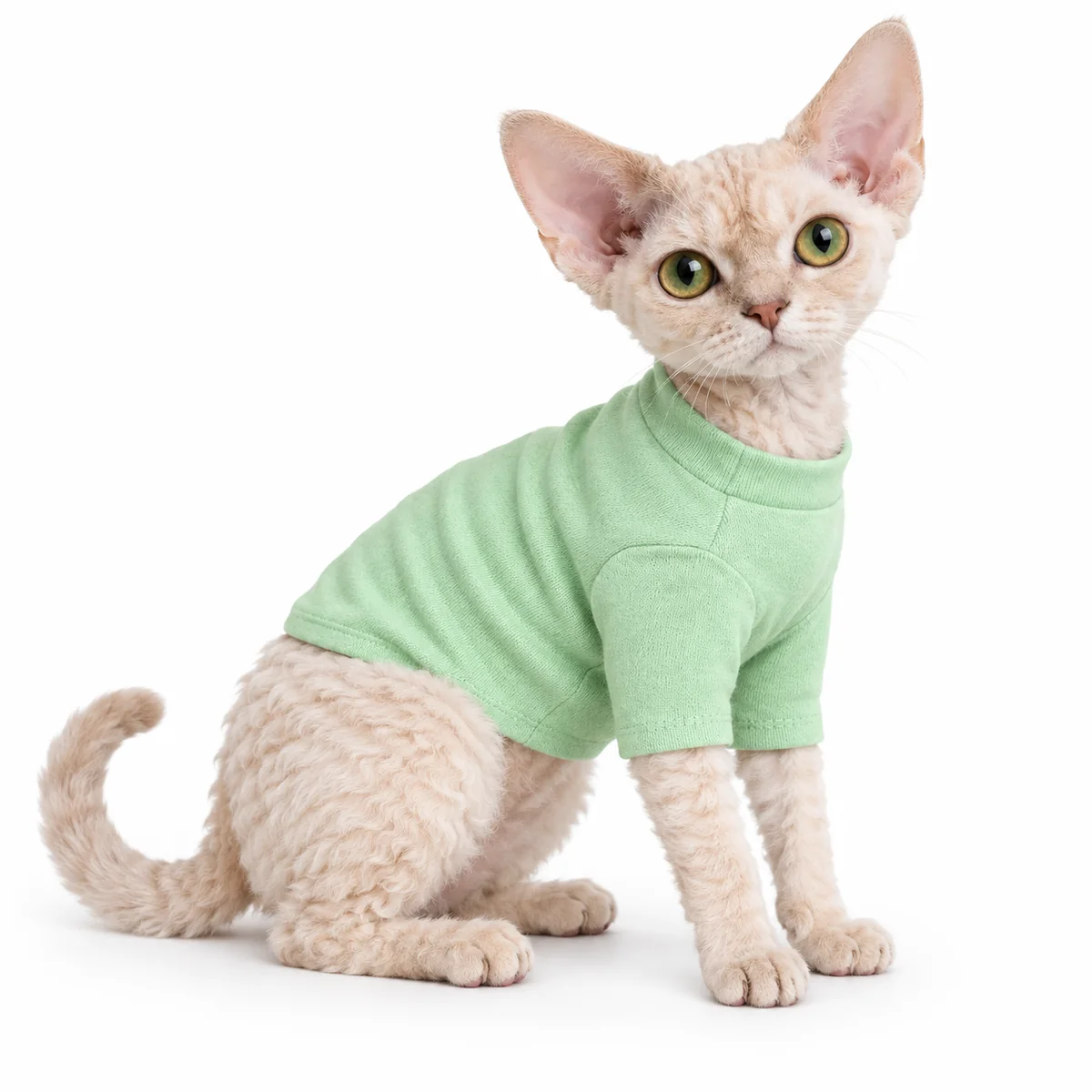 Devon Rex cat wearing the Pistachio Pudding green Snuggle Layering Cotton Cat Top on a white background