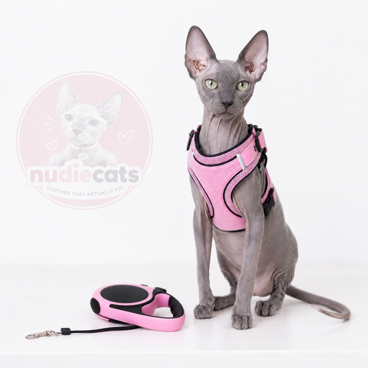 Wander Whiskers Retractable Cat Leash — main product photo showing leash handle and retractable cord