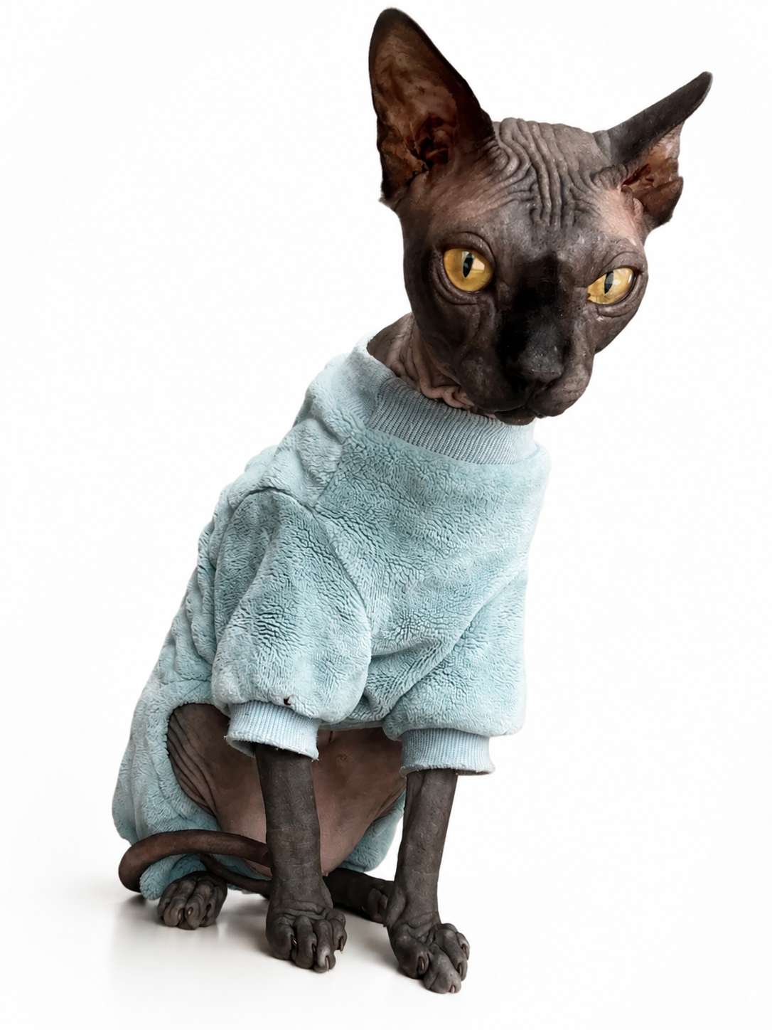 Sphynx cat wearing a baby blue All Day Cat Pyjama Onesie, hero lifestyle view