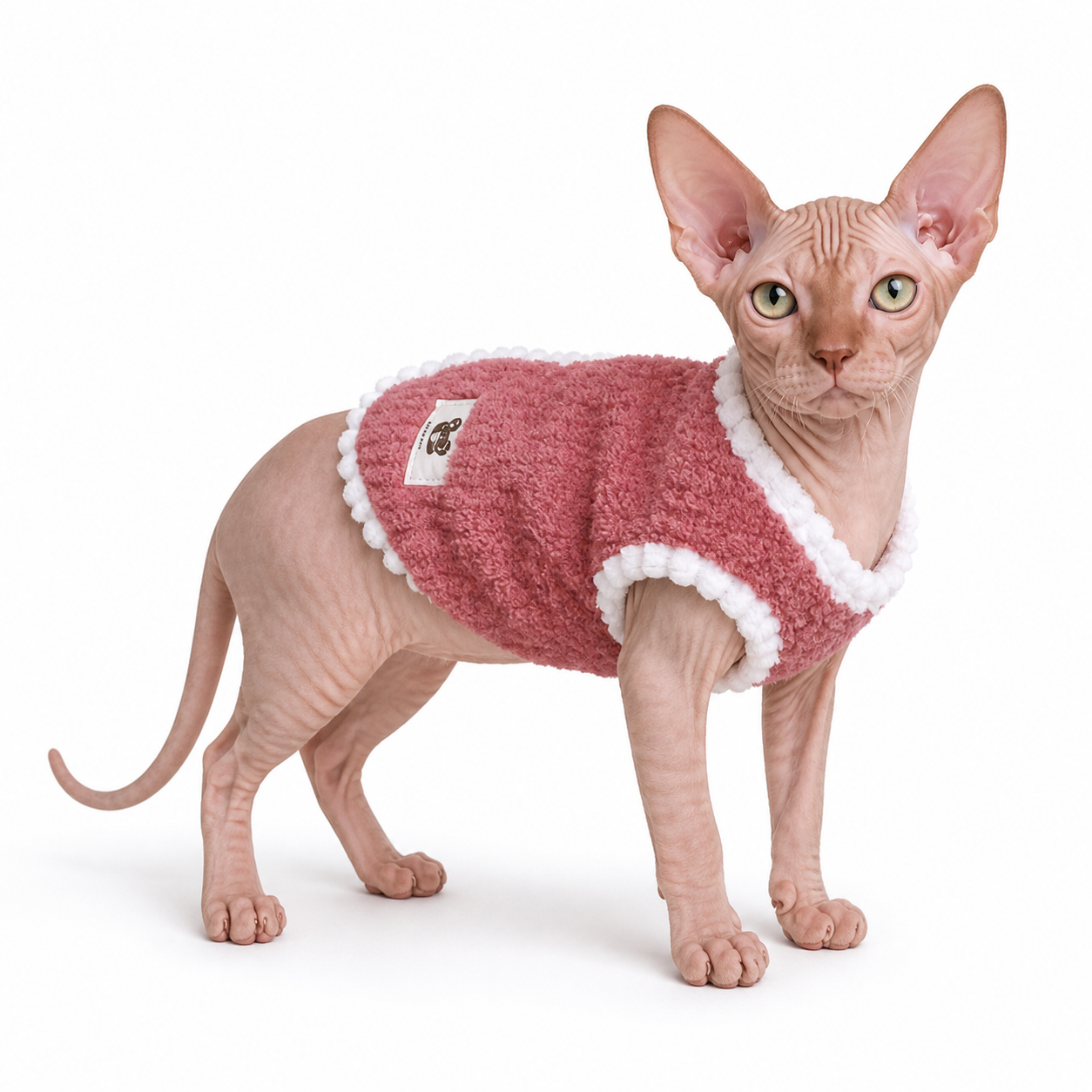 Berry Hug Teddy Vest in Berry Jam red — Sphynx cat wearing teddy-textured sleeveless vest, standing side-on