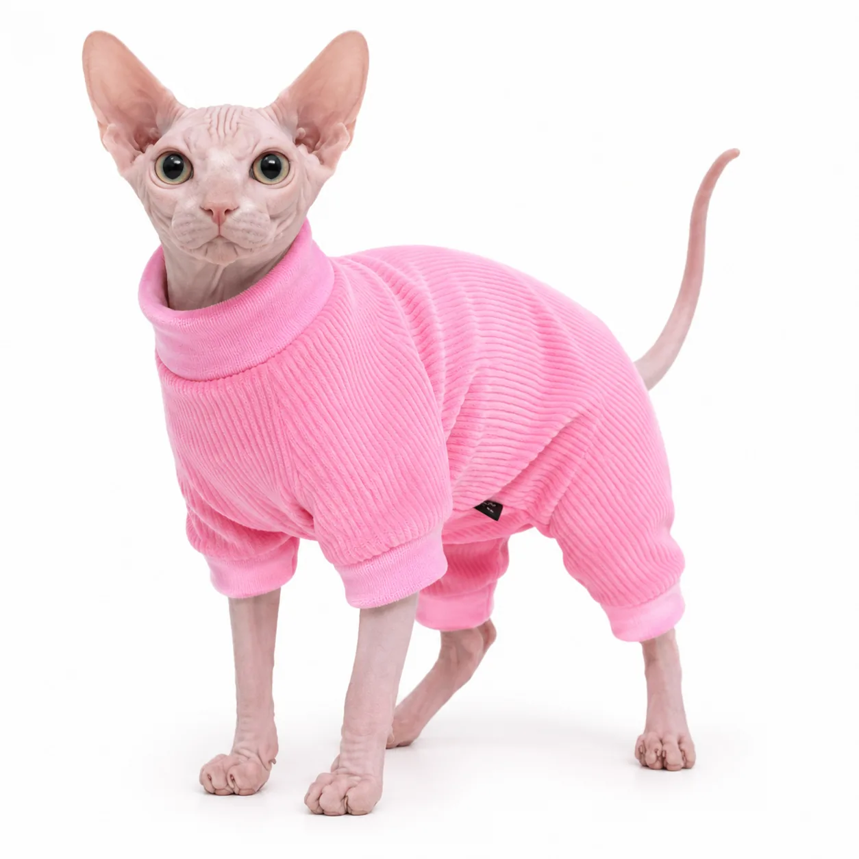 Sphynx cat wearing a Bubblegum Blush pink City Stroll Onesie, full-body product view.