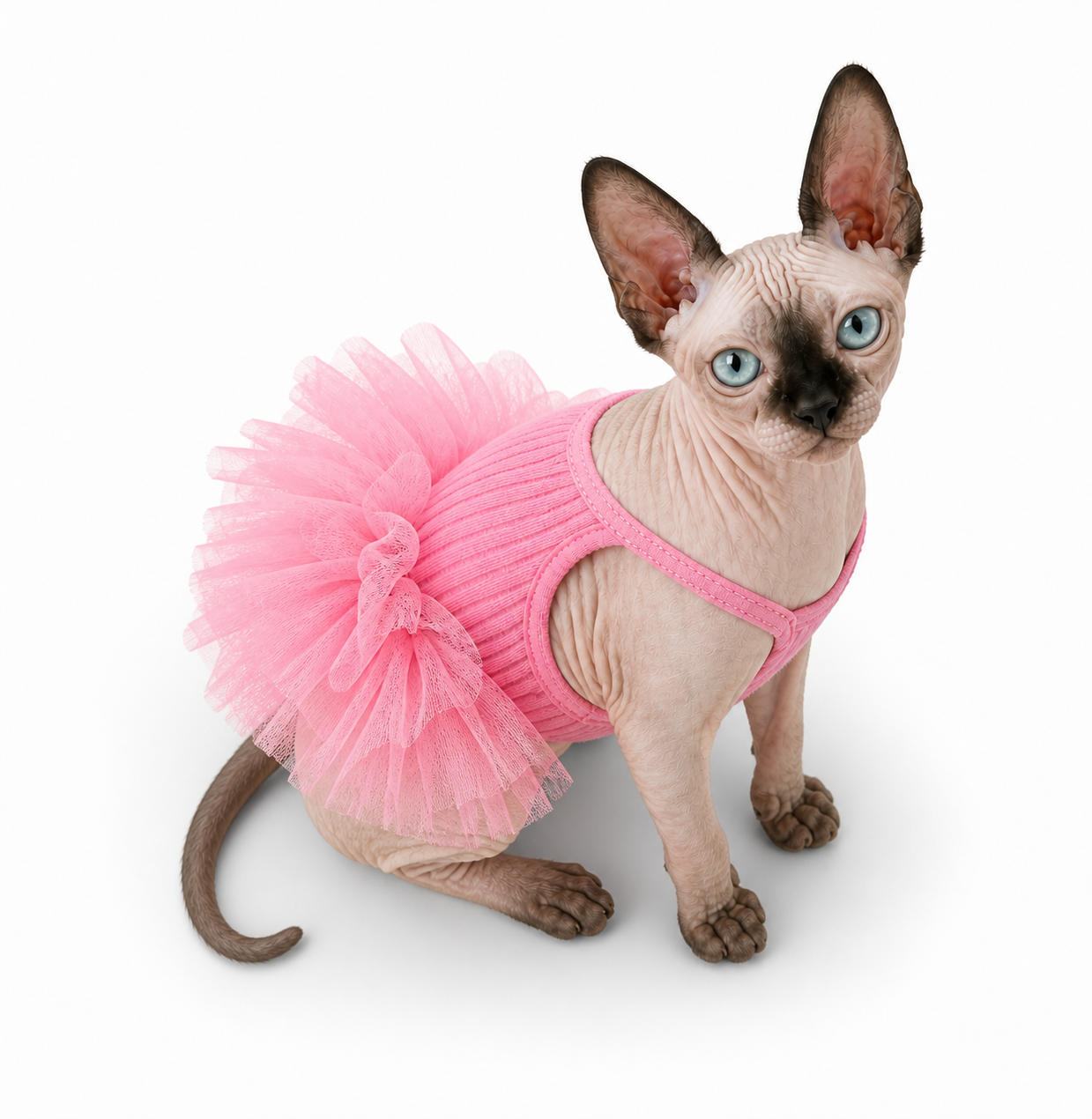 Sphynx cat sitting in the Princess Frill Tutu Dress in Dolly Pink, showing the soft pink tulle skirt