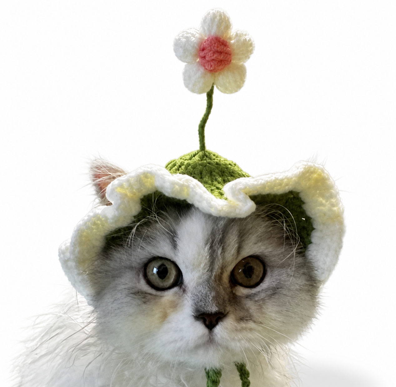 Cat wearing the Blooming Purrty Cat Hat in Meadow Mint with a white flower and pink centre