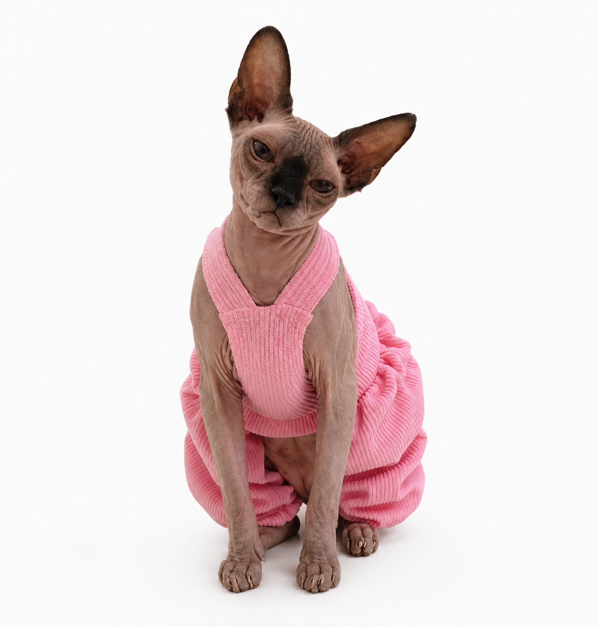 Dolly's Day Off Romper in Rosie Roo pink, cat lifestyle view.