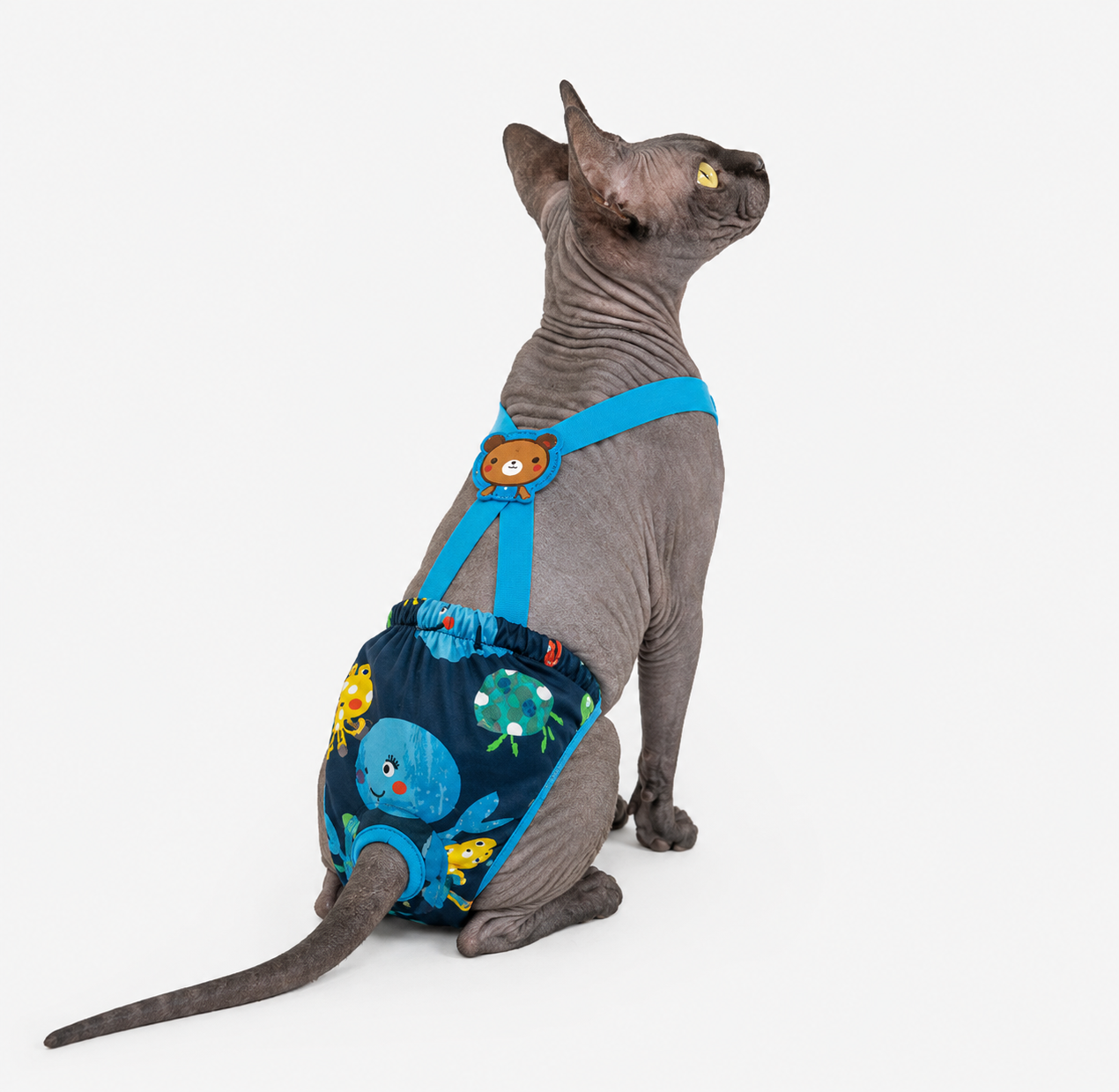 Little Explorer Adventure Overalls in Teddy Bear Blue, back view lifestyle shot of a cat