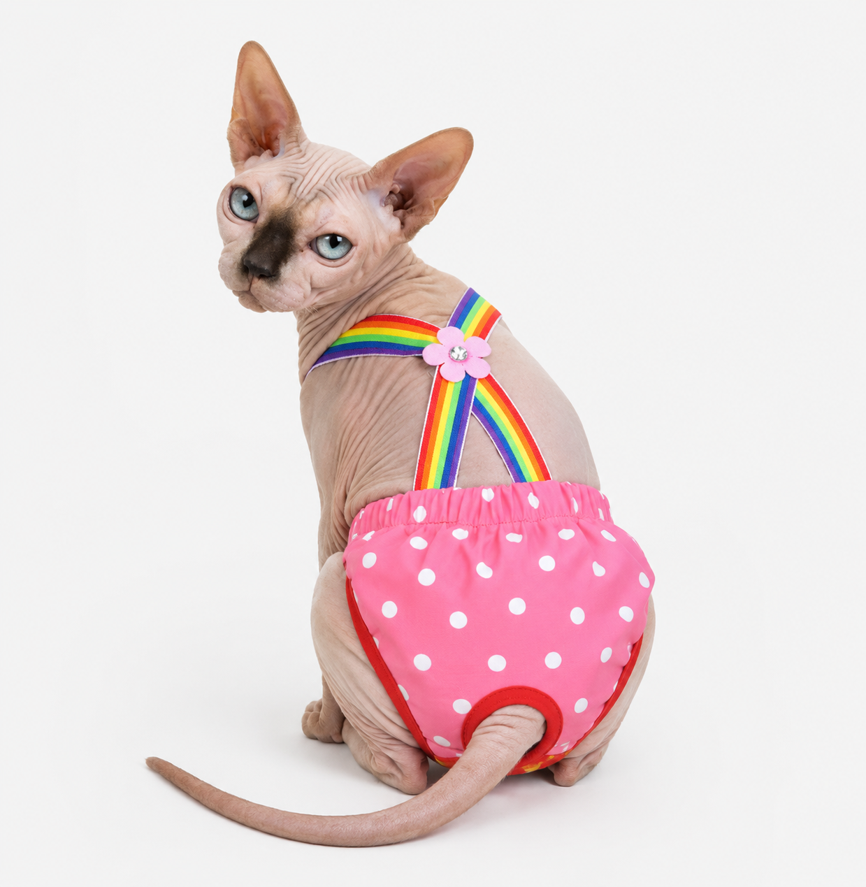 Sphynx cat wearing Cotton Candy Pink Polka Dot Suspender Bloomers, lifestyle view