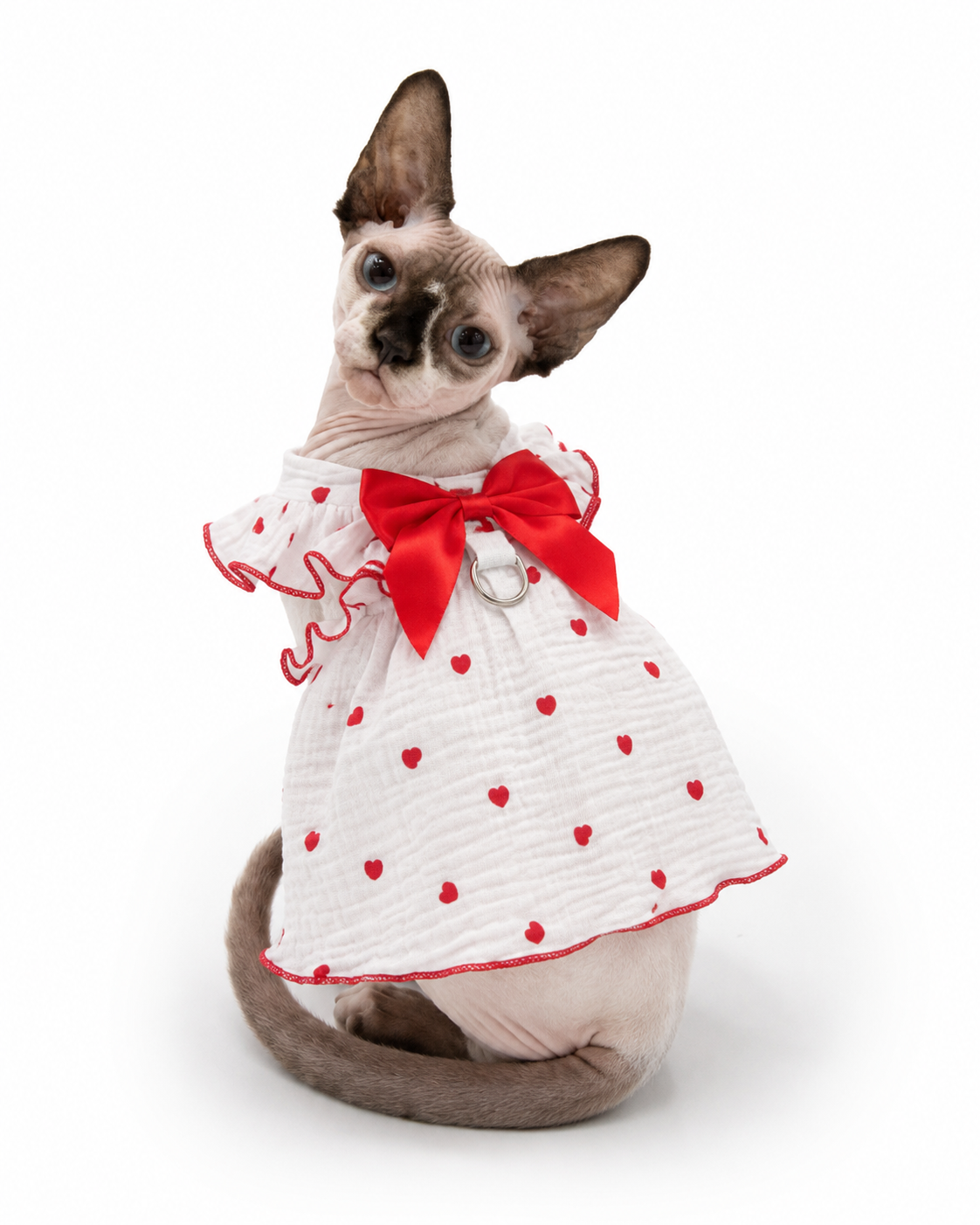 Sphynx cat lifestyle view wearing the Sweetheart Bow Dress in Blush Hearts, featuring a white fabric with red heart pattern and a red bow.