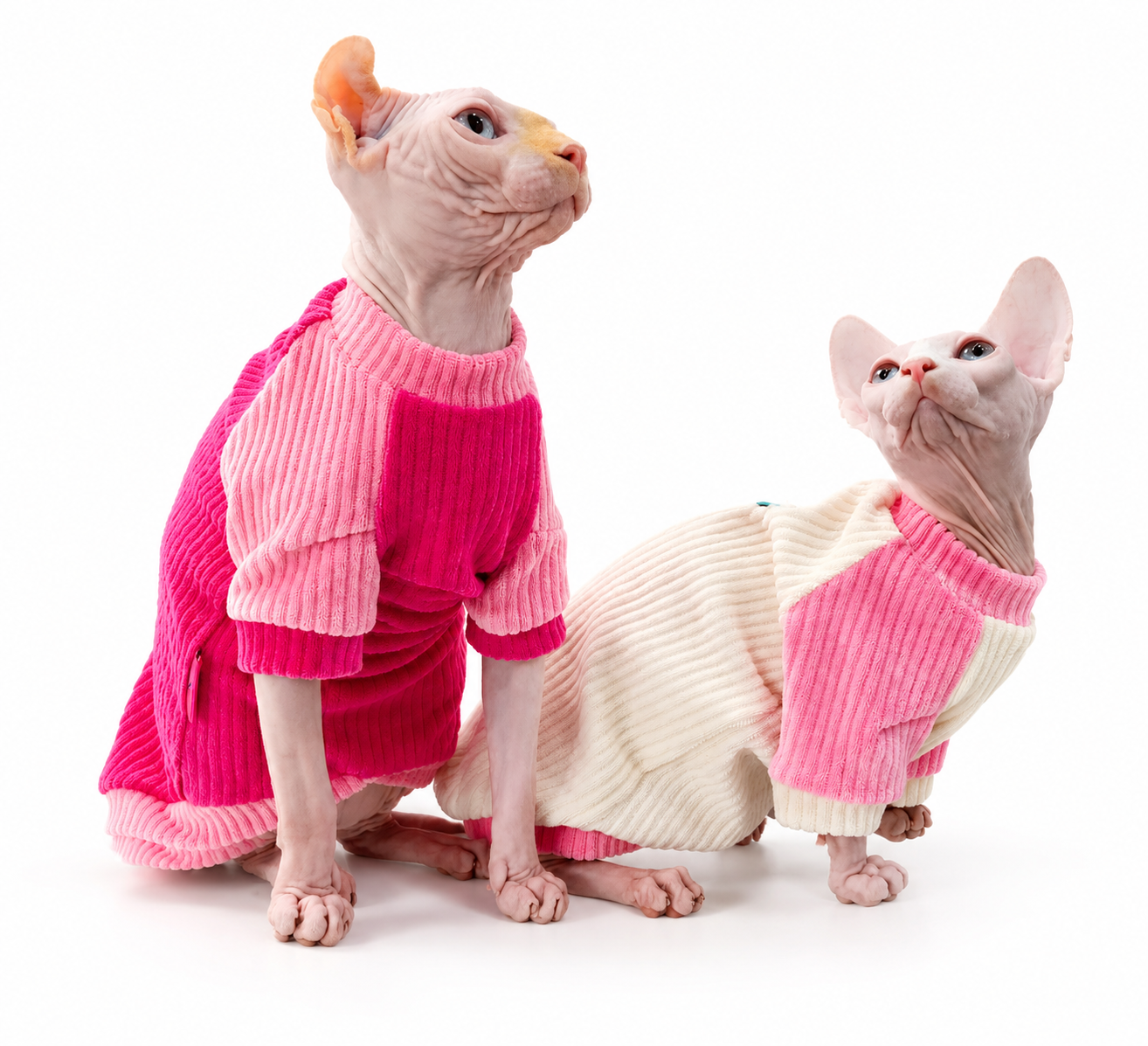 Sphynx cat wearing the Rosie Roo Sweater by NudieCats