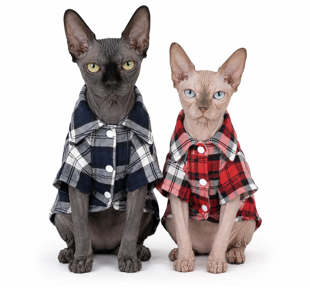 Sunday Stroll Flannel Shirt, two hairless cats front view wearing Midnight Cabin (Navy) and Campfire Plaid (Red) variants, lifestyle view.